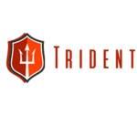 TRIDENT SHIPPING TRADING PTE LTD profile picture
