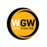 White Globe Web Profile Picture
