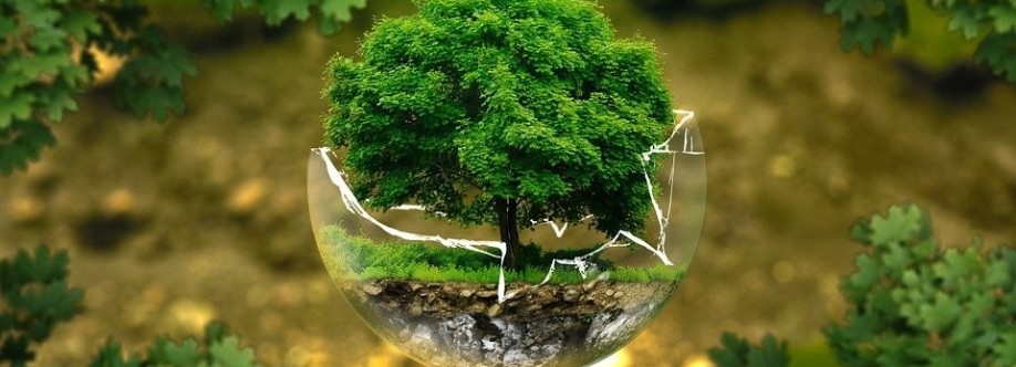 Sydney Environmental Group Pty Ltd Cover Image