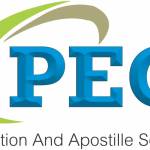 PECPUNE Profile Picture
