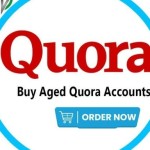 Buy Aged Quora Accounts Profile Picture