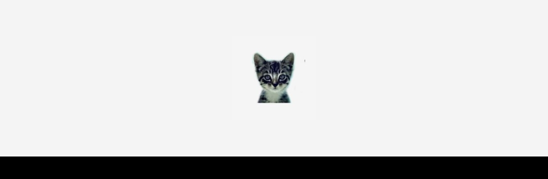 welovecatsandkittens Cover Image