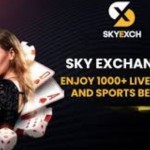 skyexchangebettingid Profile Picture