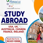 Pinnacle Overseas Consultants Profile Picture