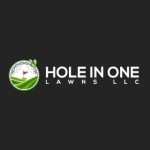 holeinonelawns Profile Picture