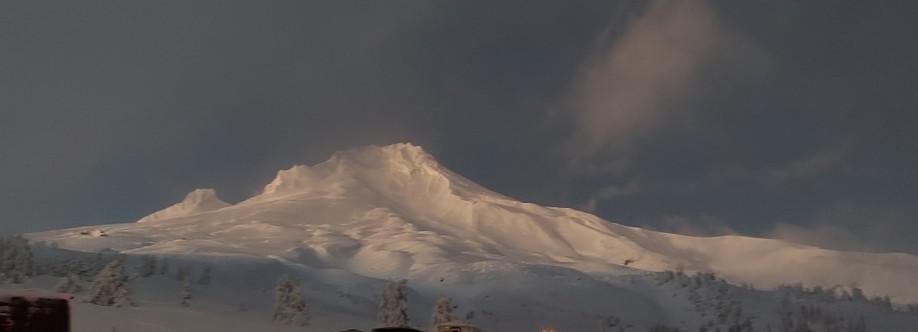 Terrantravels Cover Image