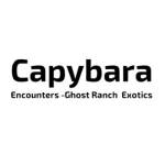 Ghost Ranch Exotics Profile Picture
