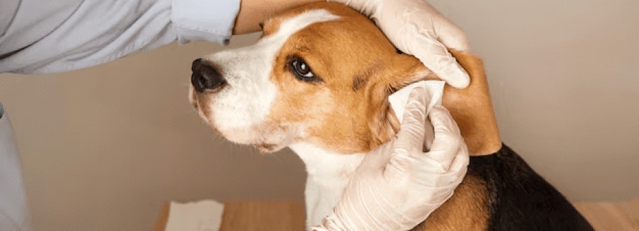 petfirst multispeciality hospital Cover Image