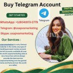 telegramaccount Profile Picture