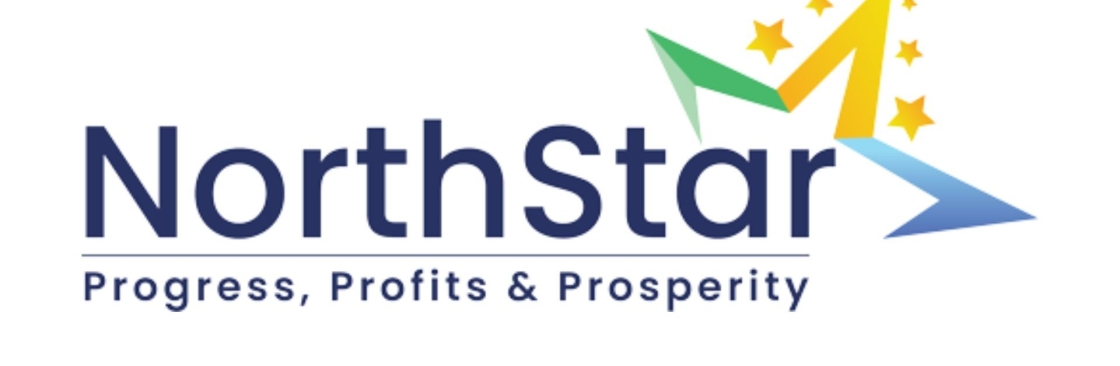 North Star Global Cover Image