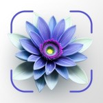 Plantora App Profile Picture
