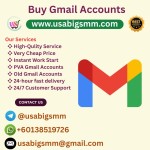 USA BIG SMM Profile Picture