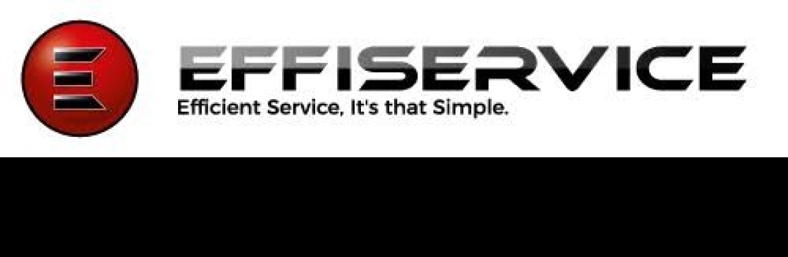 EFFISERVICE USA Cover Image