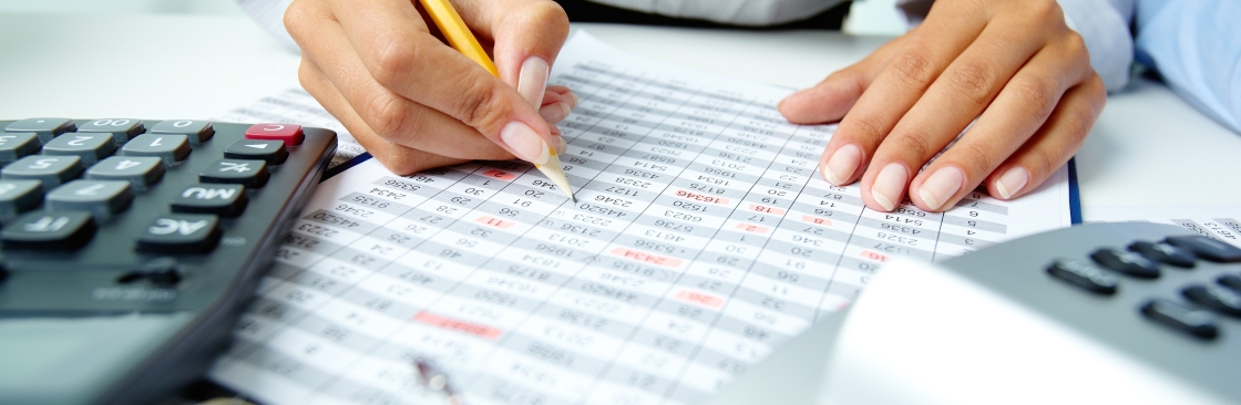 Tax Pro Accountants LLC Cover Image