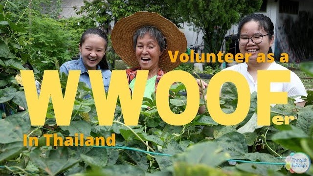 Sustainable Living Volunteer Thailand - Wwoof Thailand - Services, Ban Kruat