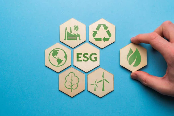 Sustainability Consultants Helping CSOs Implement ESG and Regenerative Strategies | by Speeki Ltd. | Sep, 2025 | Medium