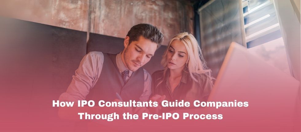How IPO Consultants Guide Firms - Muds Management