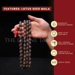 Original Rudraksha mala Profile Picture