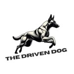 The Driven Dog Profile Picture