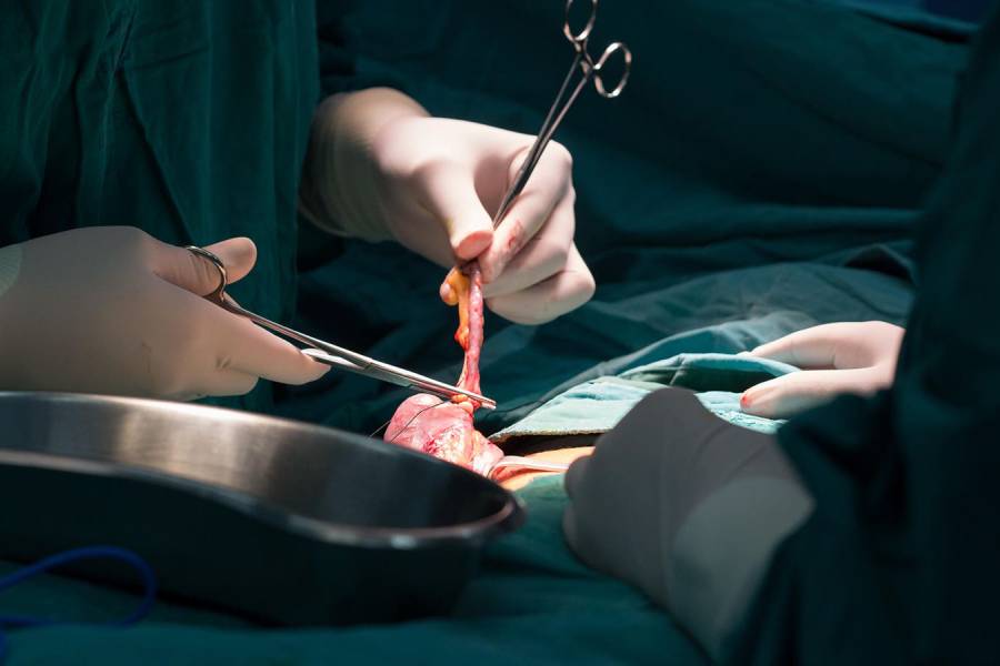 Sudden Pain in the Lower Right Abdomen | Appendix Removal Surgery in Pune