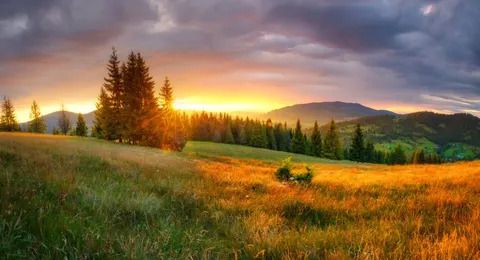 Substance Abuse Treatment & Mental Health Services in Bellingham