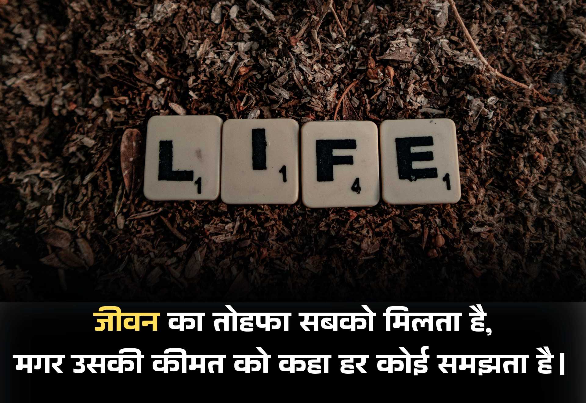 Zindagi Shayari in Hindi: ज़िंदगी पर शायरी जो हमे संघर्षों पर लड़ना सिखाती है