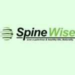 Spine wise Profile Picture