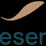 Veeserve Profile Picture
