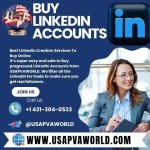 Buy LinkedIn Accounts Profile Picture