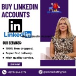 Buy Aged LinkedIn Accounts Profile Picture