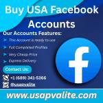 Buy USA Facebook Profile Picture
