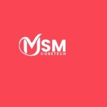 msmcoretech455 Profile Picture