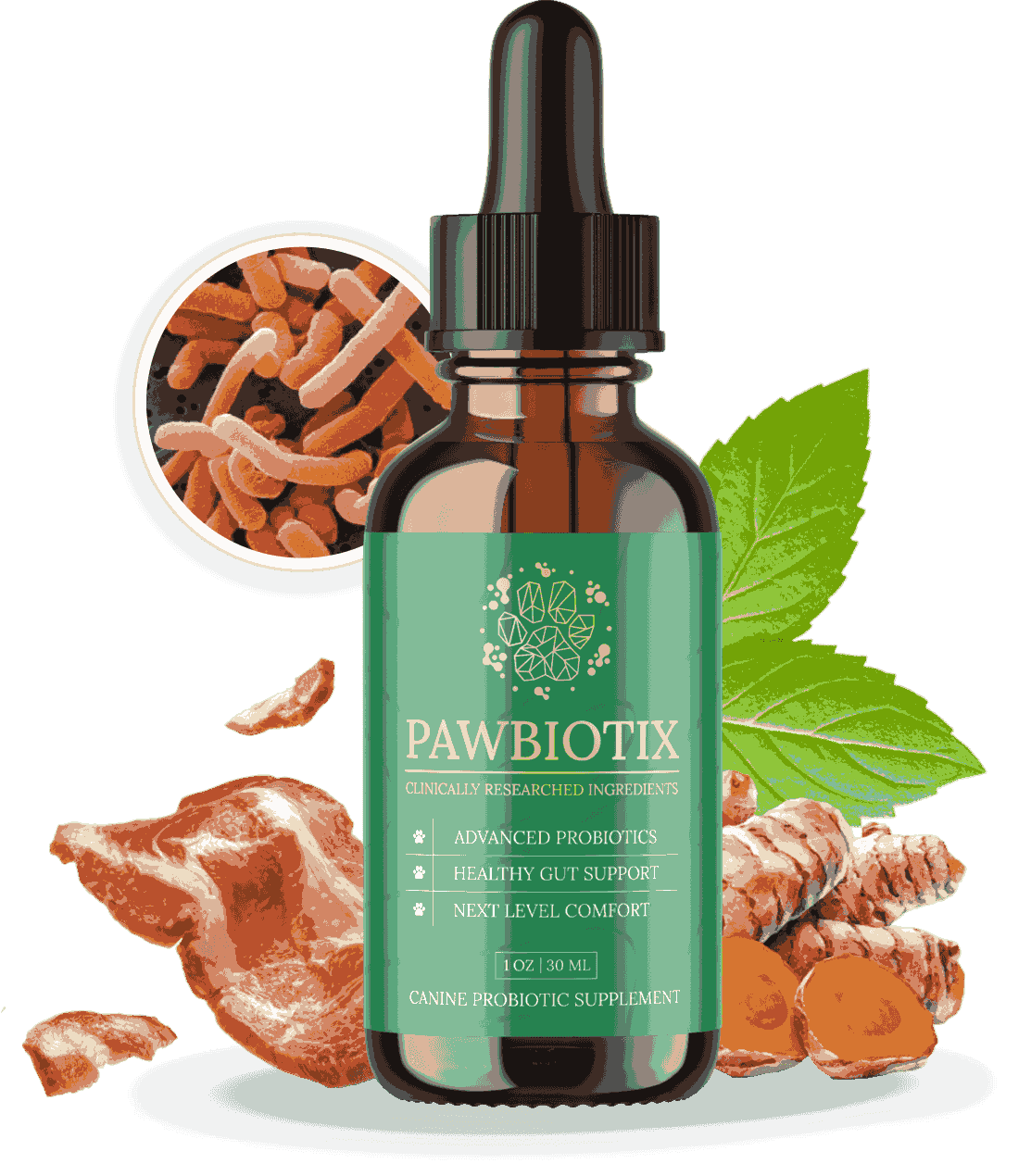 Pawbiotix™ Official Website – Buy Probiotics Vets Recommend
