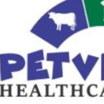 Petvet healthcare Profile Picture