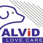 Alvid Pet Profile Picture