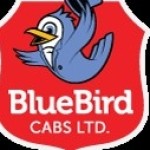 Bluebird Cabs Ltd Profile Picture