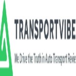 Trans portvibe Profile Picture